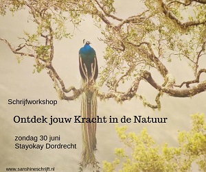 Ontdek jouw Kracht in de Natuur mini