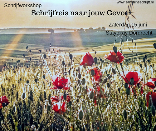 Schrijfreis naar jouw gevoel mini