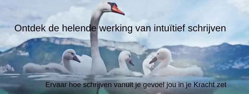 Banner homepagina