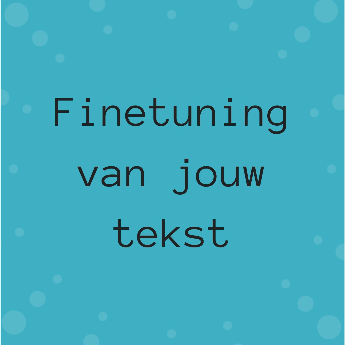 Finetuning van jouw tekst